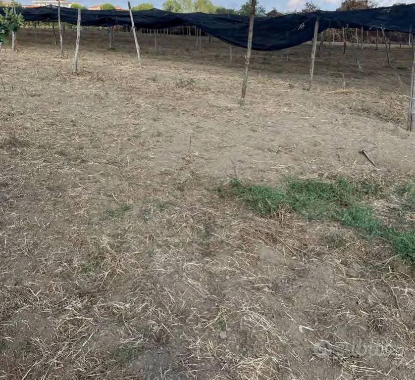 Immobile in asta di 19223 m² a Villaricca - Vista 5