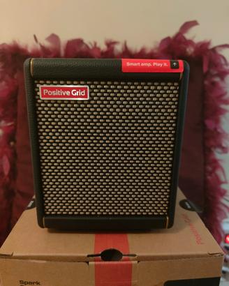 Amplificatore Positive Grid Spark Mini  