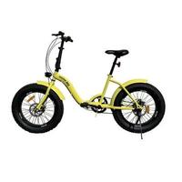 bici pieghevole ruote grandi da 20"