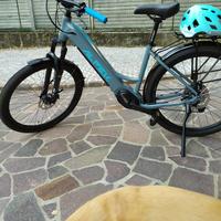 E-bike Alpek
