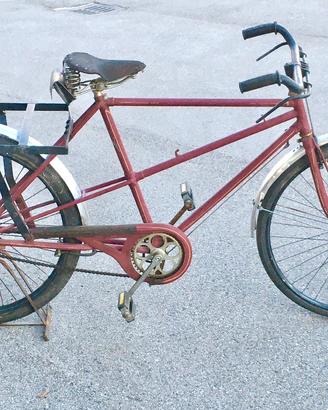 Bici da trasporto