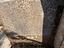 Immagine 12