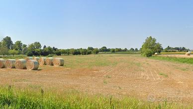 Terreno agricolo a Vigonovo