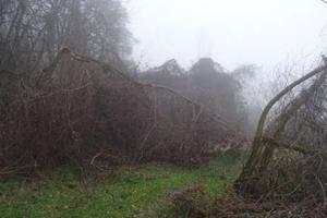 Casa singola a Neviano degli Arduini (PR)