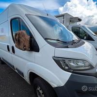 Peugeot Boxer 330 L2H2 130CV - 2017