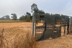 Terreno agricolo