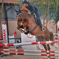 Cavallo
