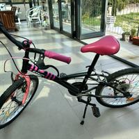 Bicicletta Raggio 20