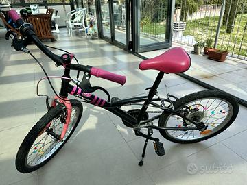 Bicicletta Raggio 20