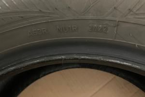 Pneumatico 4stagioni Goodyear