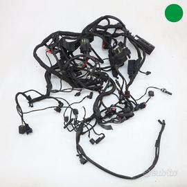 Impianto elettrico BMW R 1200 R