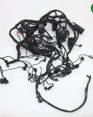 Impianto elettrico BMW R 1200 R