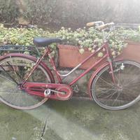 Bici da donna