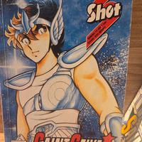 Saint Seiya - I Cavalieri Dello Zodiaco