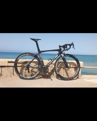 Cipollini bond 