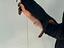 Immagine 3