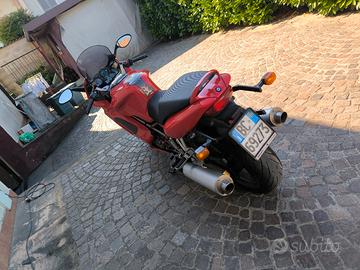 ducati 