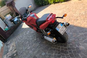 ducati 