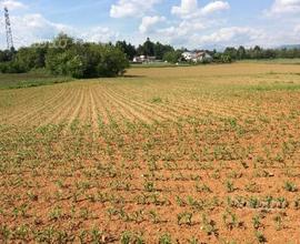 Terreno agricolo edificabile in Brianza