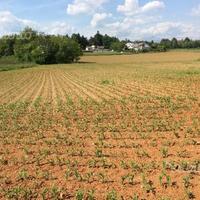Terreno agricolo edificabile in Brianza