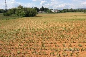Terreno agricolo edificabile in Brianza