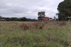 Terreno vicino al mare