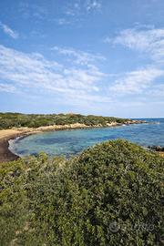 Accogliente appartamento a pochi passi dal mare