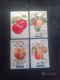 CARTOLINE  1^ MOSTRA ORTOFRUTTICOLA  EUROPEA  1956