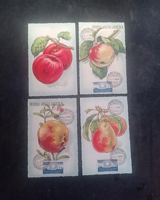 CARTOLINE  1^ MOSTRA ORTOFRUTTICOLA  EUROPEA  1956