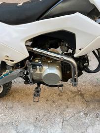Pit bike 125 profive