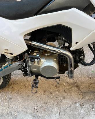 Pit bike 125 profive