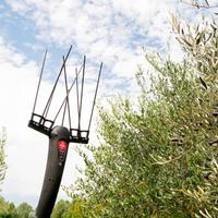 Abbacchiatore Scuotiolive Julia Ausonia