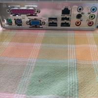 scheda madre soket intel 