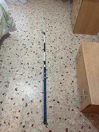 Canna da pesca