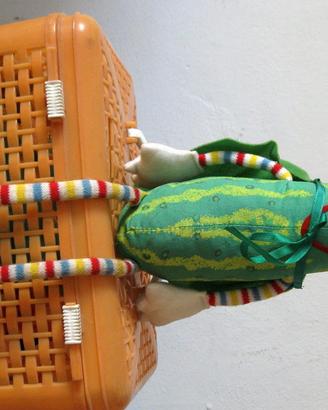 SUPER PICKLE AMTOY