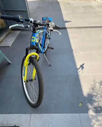 Bicicletta 26