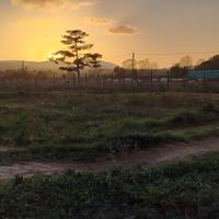 Coppia Custodi Housekeeper