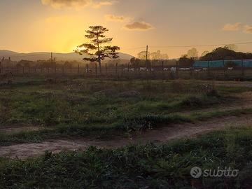 Coppia Custodi Housekeeper