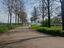 Immagine 21