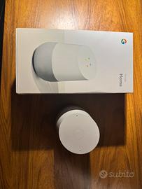 Google Home