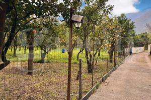 Terreno Agricolo Sant'Egidio del Monte Albino