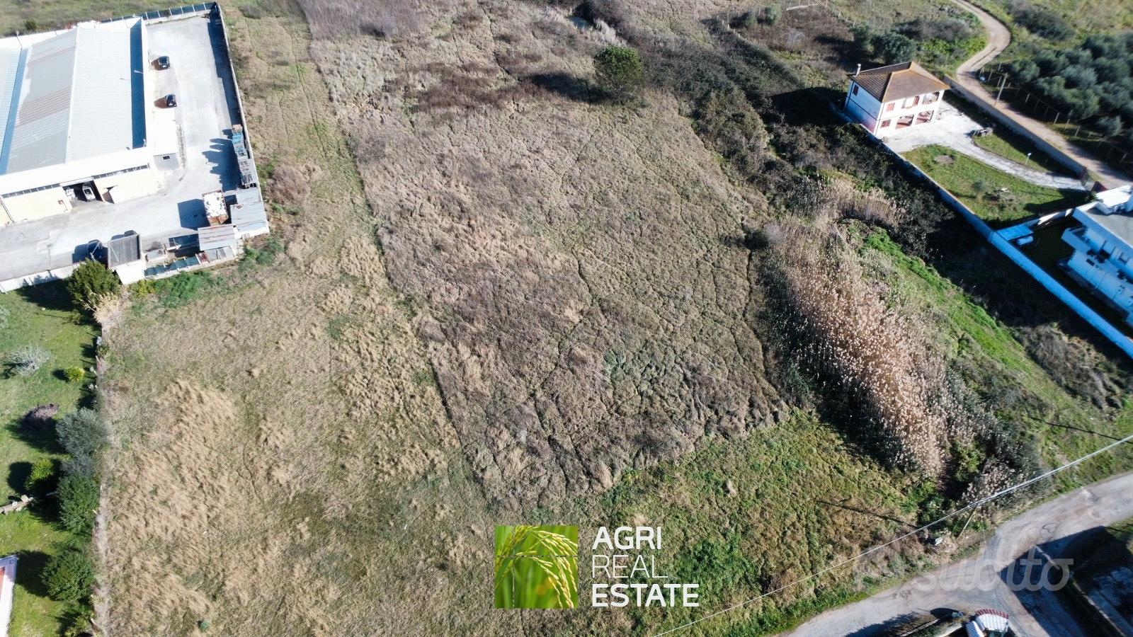 Terreno 3 ettari fronte strada Pontina - Vista 3