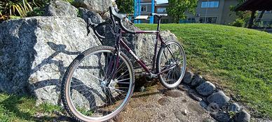 Gravel acciaio Giant
