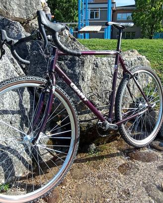 Gravel acciaio Giant