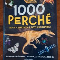 1000 perché tante curiosita