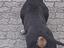 Immagine 2