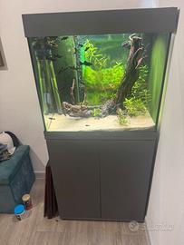 Acquario juwel 120 lt con mobile