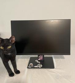 Monitor KOORUI 22N1 - Full HD 22
