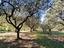 Immagine 15
