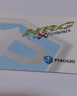 MANUALE USO E MANUTENZIONE NRG PIAGGIO 578779